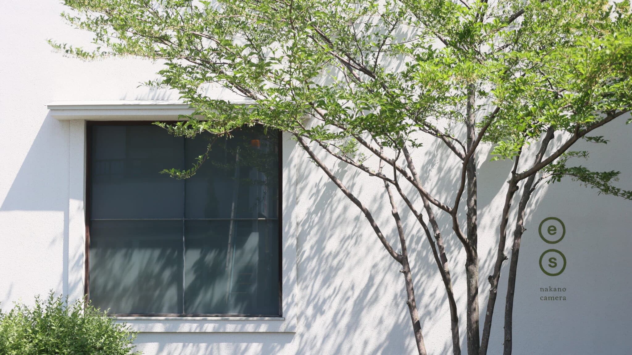 ナカノカメラのフォトスタジオ写真館外観　窓とエゴの木