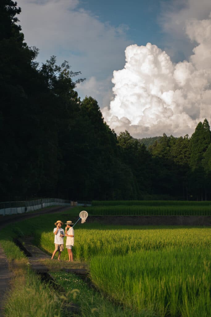入道雲の空の下、タモを持って遊ぶ子どもたちの夏休みの思い出